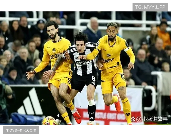 纽卡斯尔联队新赛季强势崛起，英超冠军争夺战再添变数